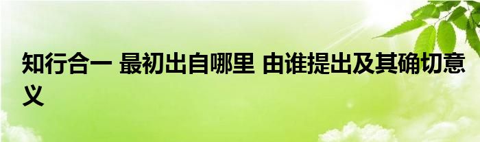 知行合一 最初出自哪里 由誰提出及其確切意義