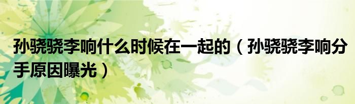孫驍驍李響什么時(shí)候在一起的（孫驍驍李響分手原因曝光）