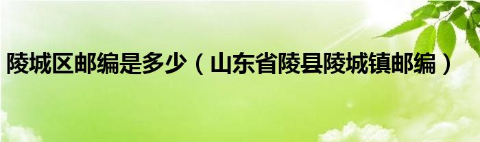 陵城區(qū)郵編是多少（山東省陵縣陵城鎮(zhèn)郵編）
