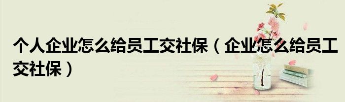 個(gè)人企業(yè)怎么給員工交社保（企業(yè)怎么給員工交社保）