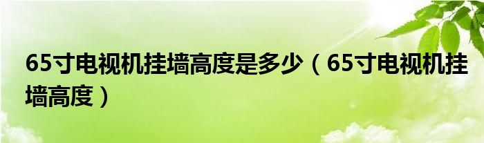 65寸電視機(jī)掛墻高度是多少（65寸電視機(jī)掛墻高度）
