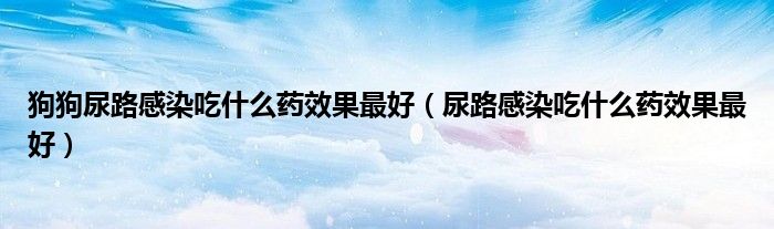 狗狗尿路感染吃什么藥效果最好（尿路感染吃什么藥效果最好）