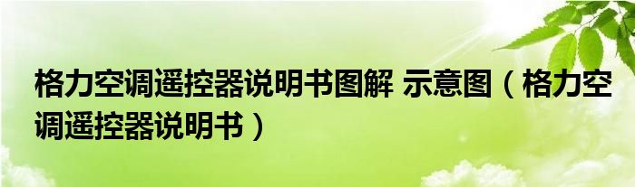 格力空調(diào)遙控器說明書圖解 示意圖（格力空調(diào)遙控器說明書）