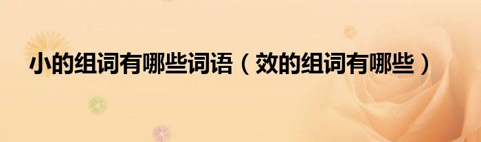 小的組詞有哪些詞語(yǔ)（效的組詞有哪些）