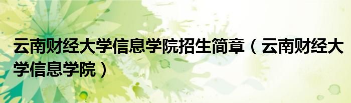 云南財(cái)經(jīng)大學(xué)信息學(xué)院招生簡(jiǎn)章（云南財(cái)經(jīng)大學(xué)信息學(xué)院）