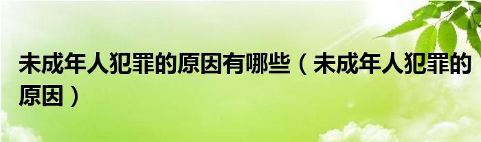 未成年人犯罪的原因有哪些（未成年人犯罪的原因）