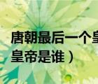 唐朝最后一個皇帝是誰的兒子（唐朝最后一個皇帝是誰）