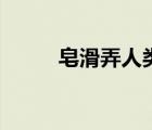 皂滑弄人類似的成語（皂滑弄人）