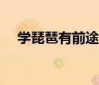 學(xué)琵琶有前途嗎（學(xué)琵琶的好處和壞處）