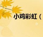 小雞彩虹（說一說小雞彩虹的簡介）