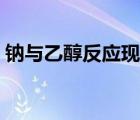 鈉與乙醇反應(yīng)現(xiàn)象總結(jié)（鈉與乙醇反應(yīng)現(xiàn)象）