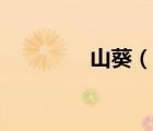 山葵（說一說山葵的簡介）