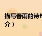 描寫春雨的詩句（說一說描寫春雨的詩句的簡介）