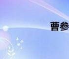 曹參簡介（曹參讀音）