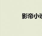 影帝小說有哪些（影帝小說）