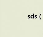 sds（說一說sds的簡(jiǎn)介）