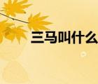 三馬叫什么名字（三馬怎么讀什么）