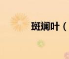 斑斕葉（說一說斑斕葉的簡介）