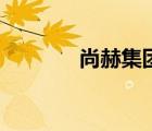 尚赫集團(tuán)天眼查（尚赫集團(tuán)）