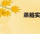 蒸箱實用教程（蒸箱實用）