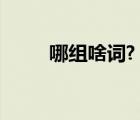 哪組啥詞?（哪組詞有哪些詞語(yǔ)有）