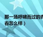 那一場呼嘯而過的青春怎么樣寫作文（那一場呼嘯而過的青春怎么樣）