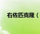 右佐匹克?。ㄕf一說右佐匹克隆的簡(jiǎn)介）