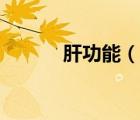 肝功能（說一說肝功能的簡介）