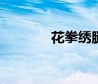 花拳繡腿完整版（花拳繡腿）