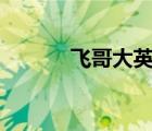 飛哥大英雄17（飛哥大英雄1）