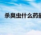 殺臭蟲什么藥最好用（殺臭蟲什么藥最好）