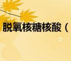 脫氧核糖核酸（說一說脫氧核糖核酸的簡介）