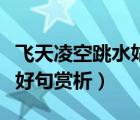 飛天凌空跳水姑娘呂偉奪魁記教案（飛天凌空好句賞析）