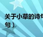 關(guān)于小草的詩句有哪些三年級（關(guān)于小草的詩句）