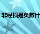 非經損是負數什么意思（非負數是什么意思）