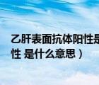 乙肝表面抗體陽性是什么意思是好還是壞（乙肝表面抗體陽性 是什么意思）