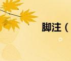 腳注（說一說腳注的簡介）