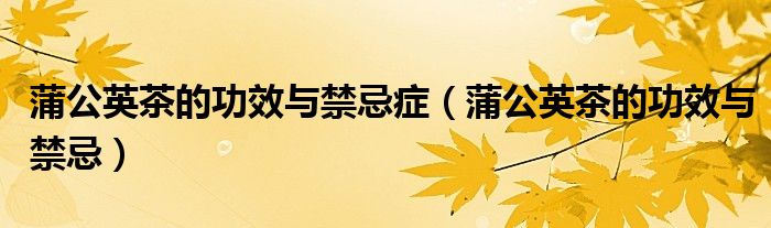 蒲公英茶的功效與禁忌癥（蒲公英茶的功效與禁忌）