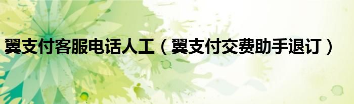 翼支付客服電話人工（翼支付交費助手退訂）