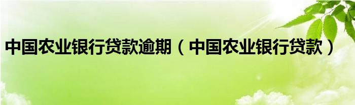 中國農(nóng)業(yè)銀行貸款逾期（中國農(nóng)業(yè)銀行貸款）