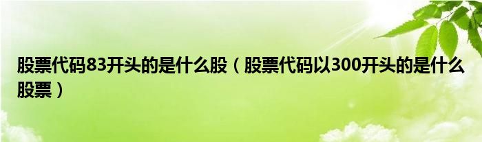 股票代碼83開頭的是什么股（股票代碼以300開頭的是什么股票）