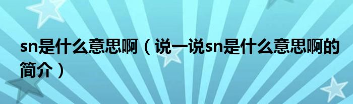 sn是什么意思?。ㄕf一說sn是什么意思啊的簡介）