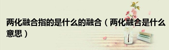 兩化融合指的是什么的融合（兩化融合是什么意思）