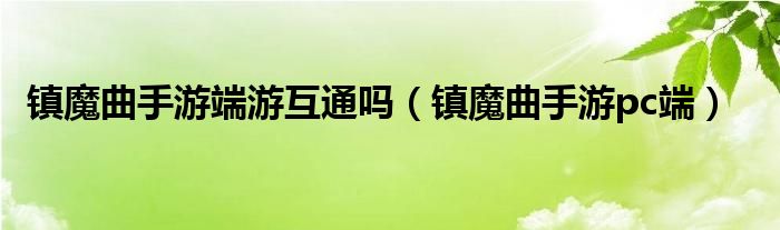 鎮(zhèn)魔曲手游端游互通嗎（鎮(zhèn)魔曲手游pc端）