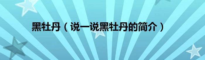 黑牡丹（說一說黑牡丹的簡介）