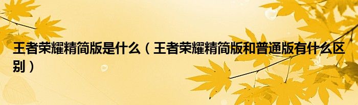 王者榮耀精簡(jiǎn)版是什么（王者榮耀精簡(jiǎn)版和普通版有什么區(qū)別）