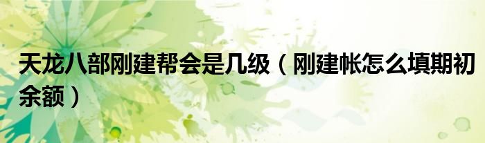 天龍八部剛建幫會是幾級（剛建帳怎么填期初余額）