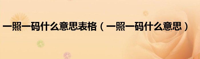 一照一碼什么意思表格（一照一碼什么意思）
