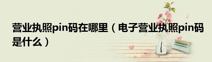 營業(yè)執(zhí)照pin碼在哪里（電子營業(yè)執(zhí)照pin碼是什么）