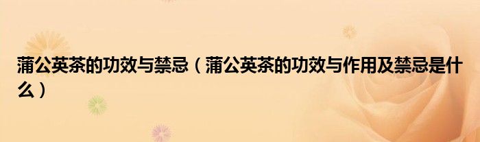 蒲公英茶的功效與禁忌（蒲公英茶的功效與作用及禁忌是什么）